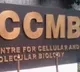 Central Government accepts to conduct corona tests in CCMB