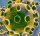 Nearly 14000 New Coronavirus Cases Reported Globally In 24 Hours says WHO