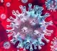 62 Coronavirus Deaths In India In 24 hours Biggest Jump So Far