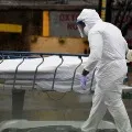 Massive burials in New York