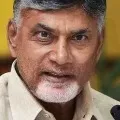 Chandrababu Naidu statement