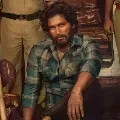 Bollywood villain in Allu Arjun