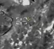 India Targets Pakisthan Ammo Dump