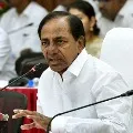 T cabinet meet tommorrow