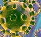 Corona Virus More Strength in Markaz Cases