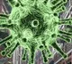 coronavirus cases in world