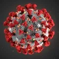 Research on corona virus gets no specific answers about immunity
