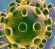 Andhra Pradesh government releases Corona Virus bulletin