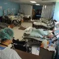 Hanta virus returns China as first death registered