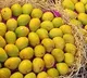 Mango Door Delivery From Today in Hyderabad