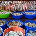 AP fisheries Announces statement over Coronavirus