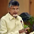 Chandrababu Naidu writes a letter to CM Palani swamy and central Home secretary