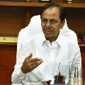 CM KCR tells about state agriculture