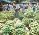 rush in gaddiannaram market with mango grovers