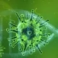 Social distancing till 2022 Harvard researchers warn of possible recurrent outbreaks of novel coronavirus