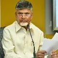 Chandrababu grills AP government over corona precautions
