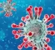 Corona virus cases rose to 10 in Andaman
