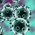 Corona Virus expands in 64 countries