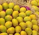 Mangoes Door Delivery By Government