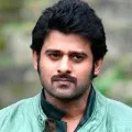 High Court orders status quo in Prabhas land case