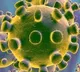 9 corona virus patients escapes form isolation wards