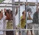 US Will Deport 161 Indians this Week