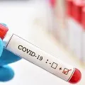 Corona virus cases reached to 2500 mark in AP