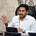 Ap Government going to release covid19 emergency pass