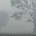 Air pollution in West Godavari Chebrolu