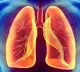 Corona virus damages two lungs in long term as per new research