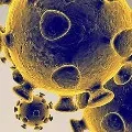 Coronavirus spikes in Wuhan hospital air