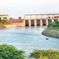 National Green Tribunal issues stay on APs 203 GO
