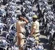 Seased Vehiles in Lockdown Back to Owners