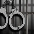 Two arrest in Delhi rides case