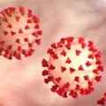 Doctor found coronavirus symptoms in two AP people