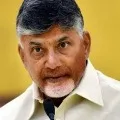 Chandrababu Naidu Video Conference