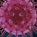 coronavirus cases in ap
