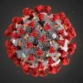 India battles against corona outbreak