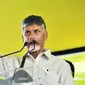 Chandrababu pays tributes to GMC Balayogi
