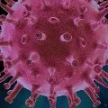 coronavirus cases in telangana