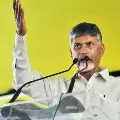 Chandrababu writes a letter to CM Jagan