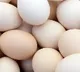 Egg Price Slash to One Rupee in Armoor