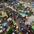 Koyambedu Market affect on Andhrapradesh