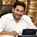 three ycp candidates to upper house