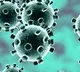 Corona Virus Comes from Nature