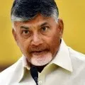 Chandrababu Naidu statement