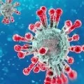 coronavirus cases in ap