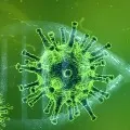 US Navy captain pleads for help over outbreak