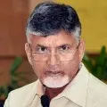 TDP Chief Chandrababu writes letter to Tobacco Boarad