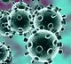 Corona Virus Expands to Vijayawada
